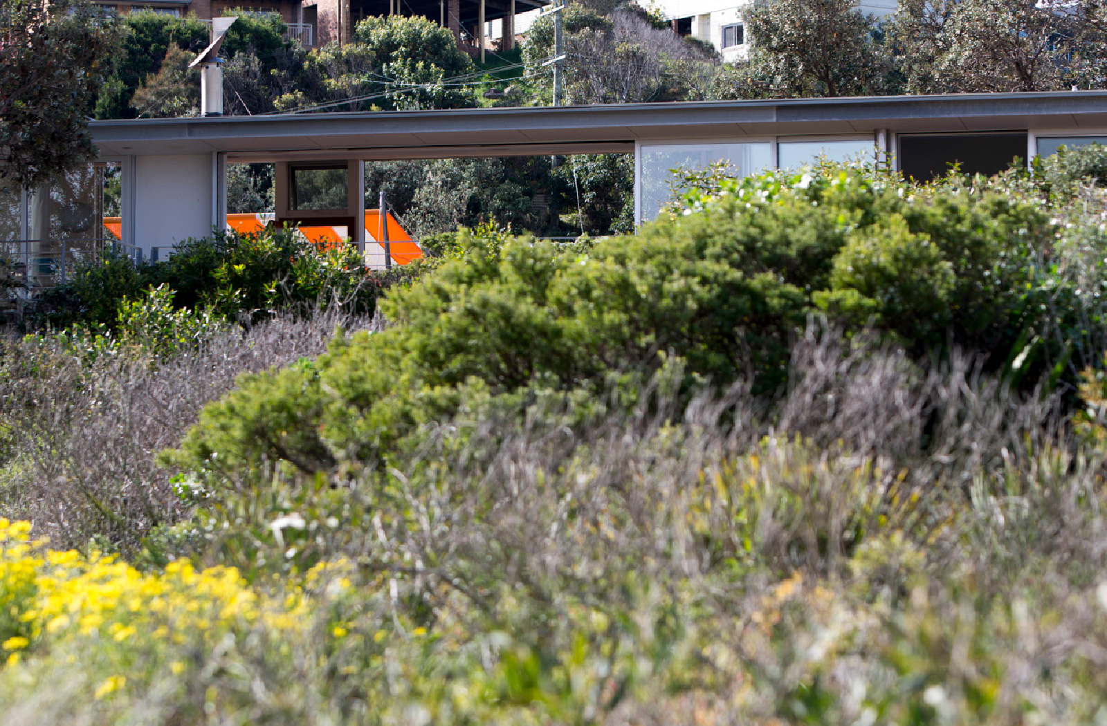 Copacabana House - single residential project shortlisted for Architecture Award by McGregor Westlake Architecture