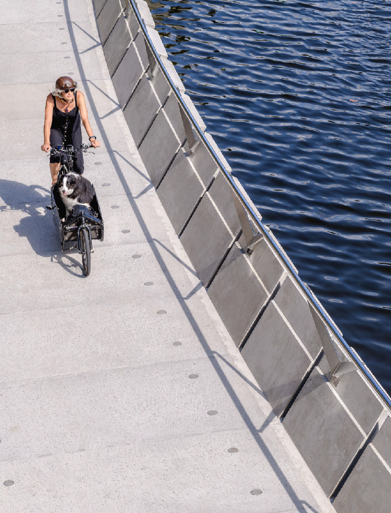 Parramatta Escarpment Boardwalk - Urban infrastructure cycleway by McGregor Westlake Architecture