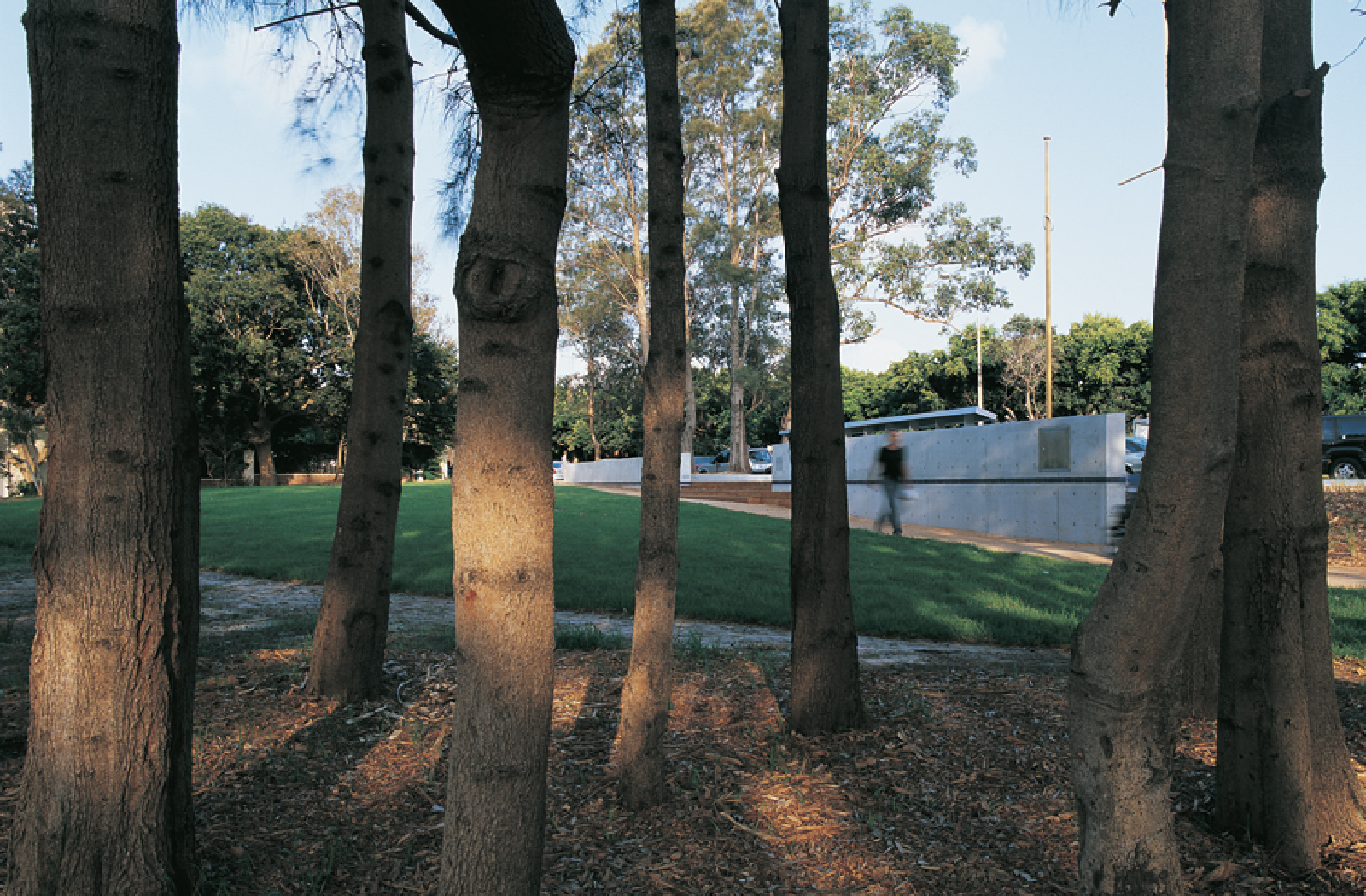 Tingira Reserve - Urban Design by McGregor Westlake Architecture