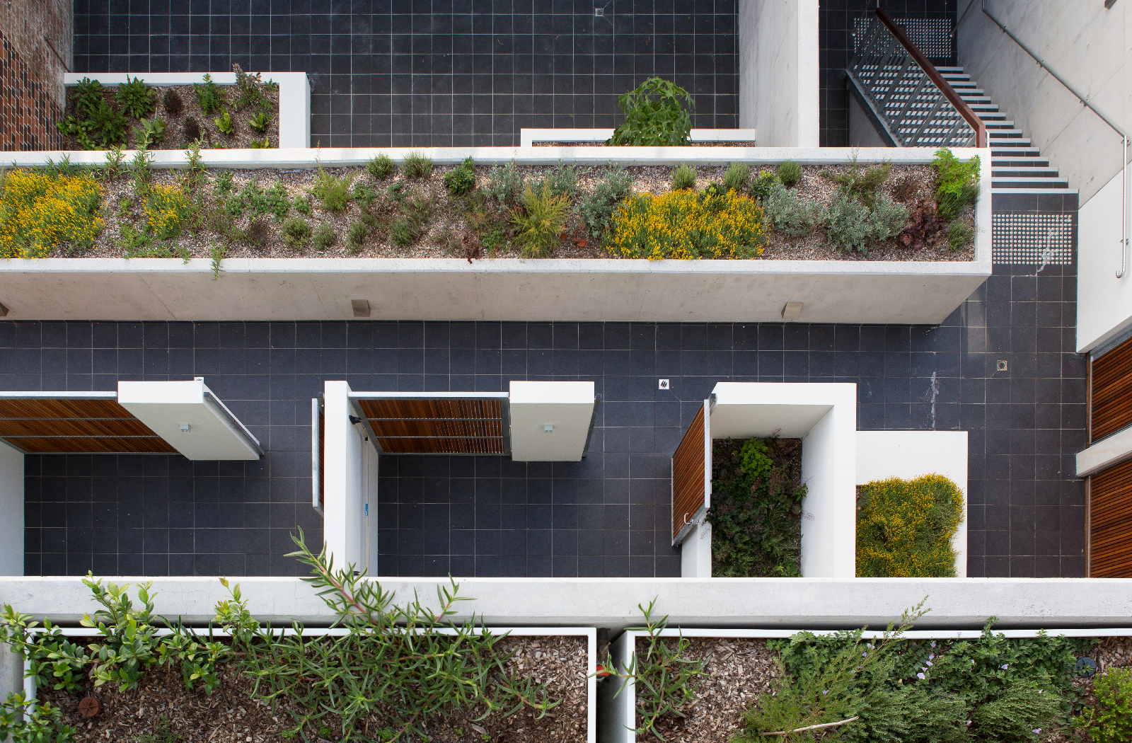 Bourke St apartments - multi-residential project in Woolloomooloo by McGregor Westlake Architecture