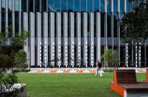 alumni park hammocks and poles