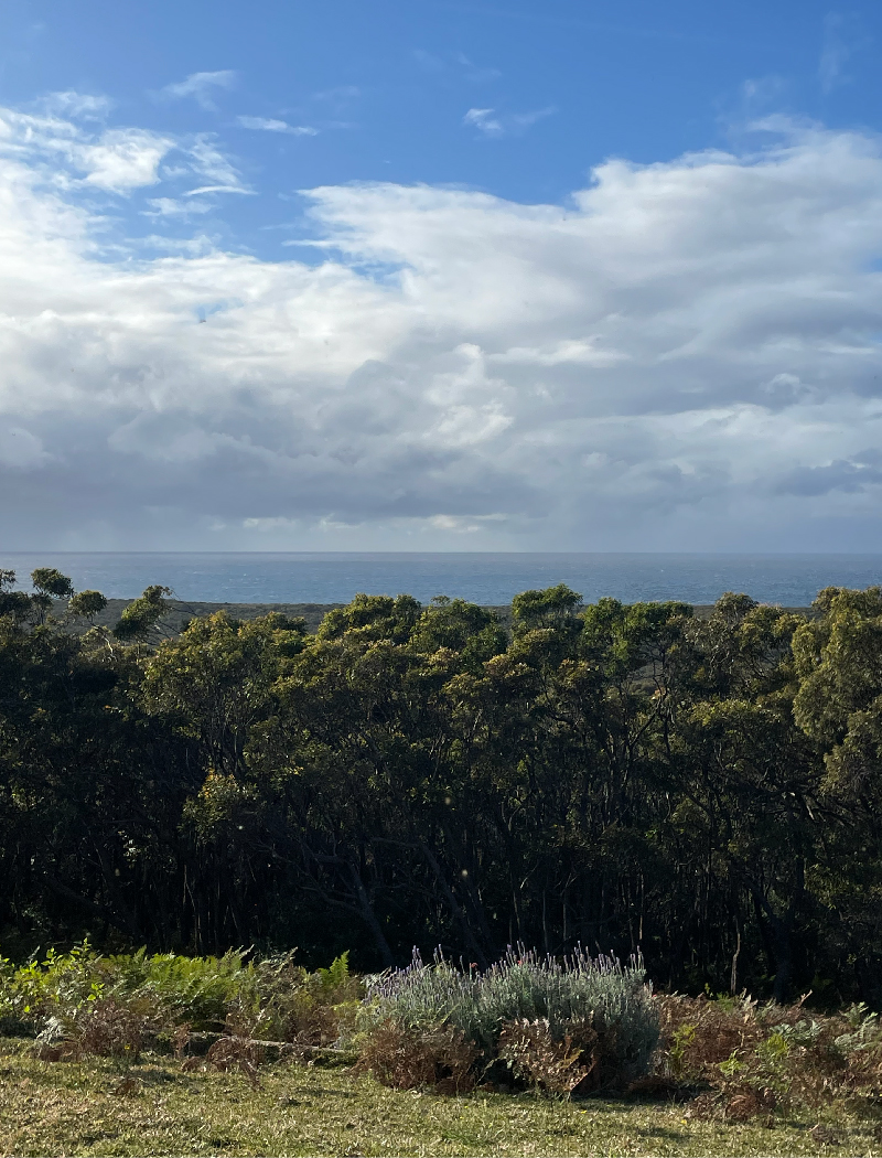 National Park View